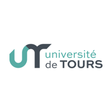 BUT GB parcours SEE