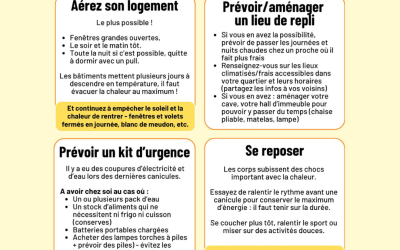 Comment se préparer à une canicule : 4 actions à mettre en place dès maintenant